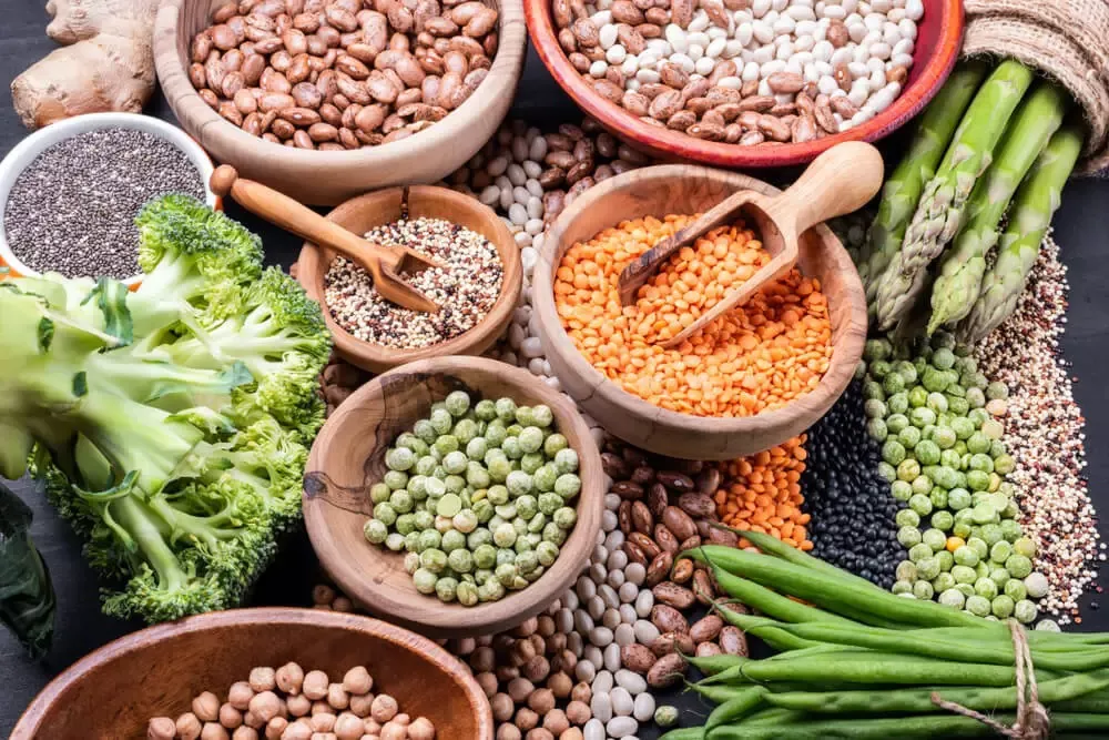 Proteina-vegetal-22-06-17-01