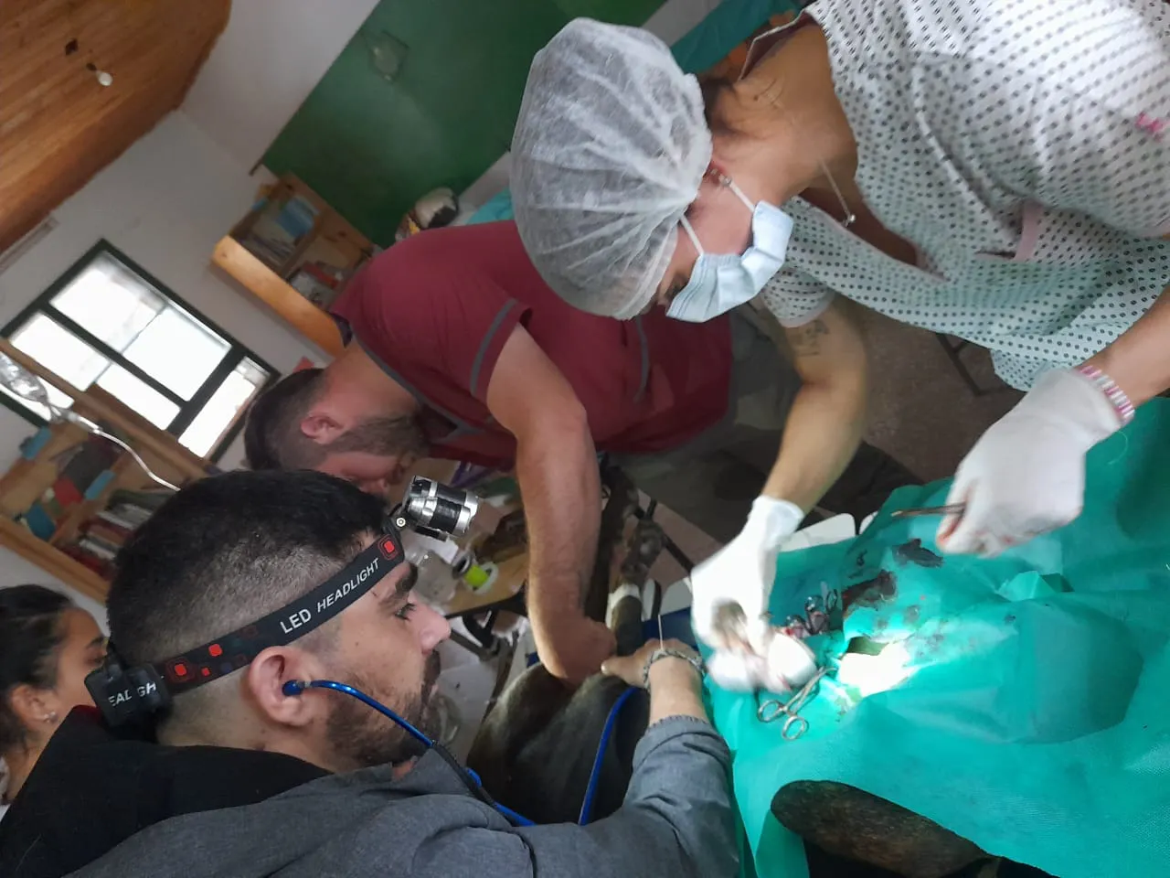 veterinarios-23-09-08-01