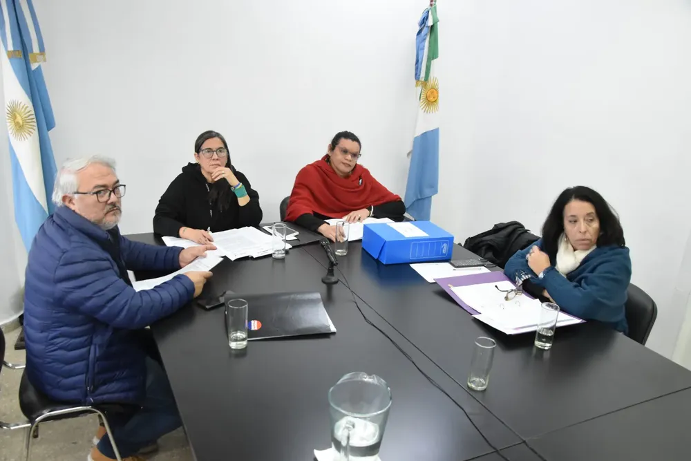 Comision-de-Generos-Diversidades-Familias-y-NNyA-24-05-29-01,