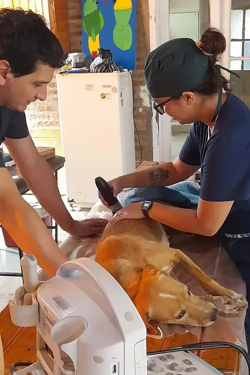 Amigos-veterinarios-del-Impenetrable-23-09-28-18