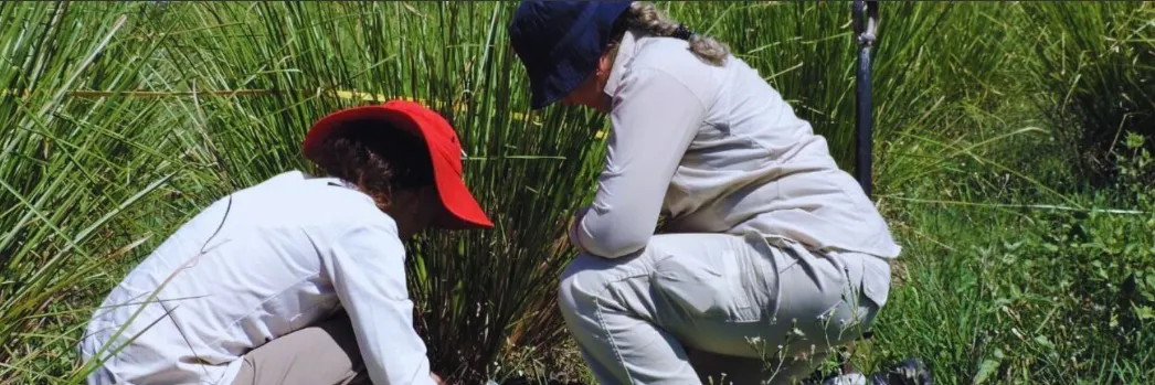 cambio-climatico-24-01-17-01