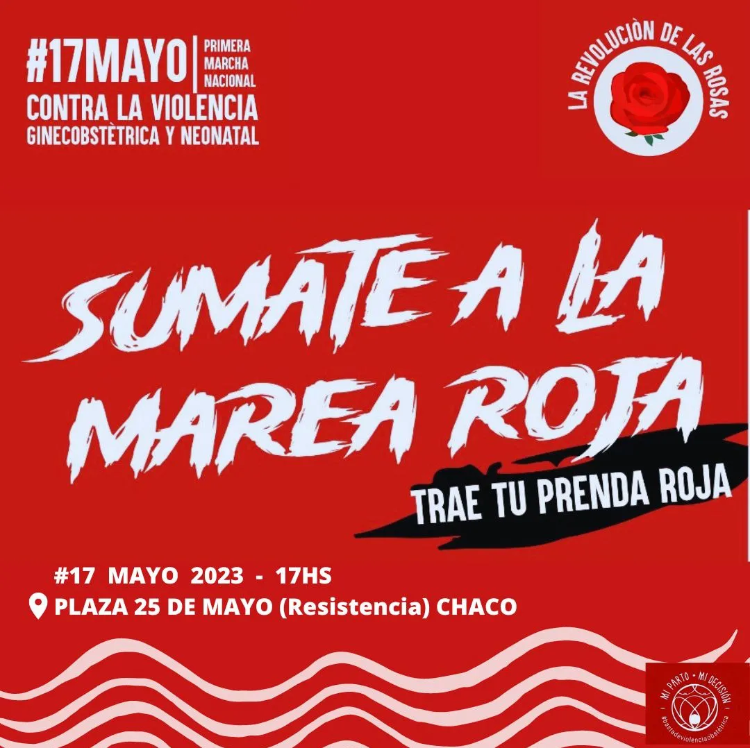 Marcha-Nacional-Contra-la-Violencia-Ginecoobstetrica-23-05-15-01