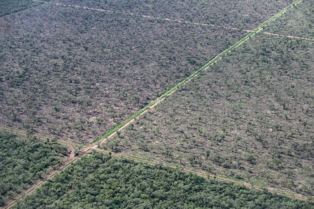 Greenpeace-Desmontes-24-05-30-02