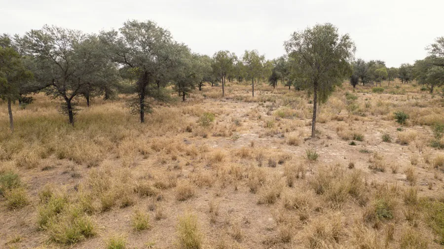 TNC-Gran-Chaco-Argentina-25-10-24-08