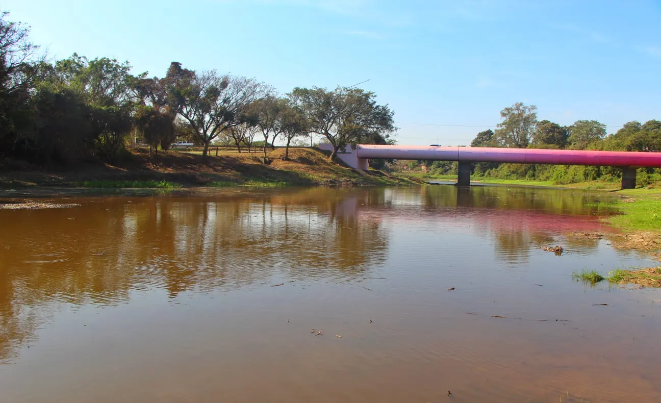 Rio-Negro-24-07-24-04