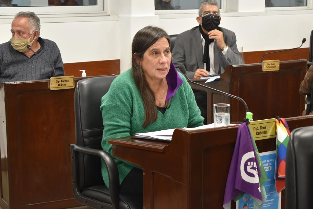 Teresa-Cubells-diputada-provincial-Frente-Grande 2020-06-10