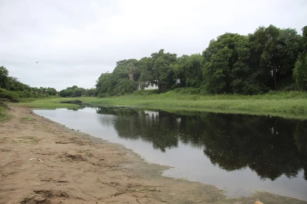 Pescados-podridos-en-el-rio-Negro-25-04-04-02