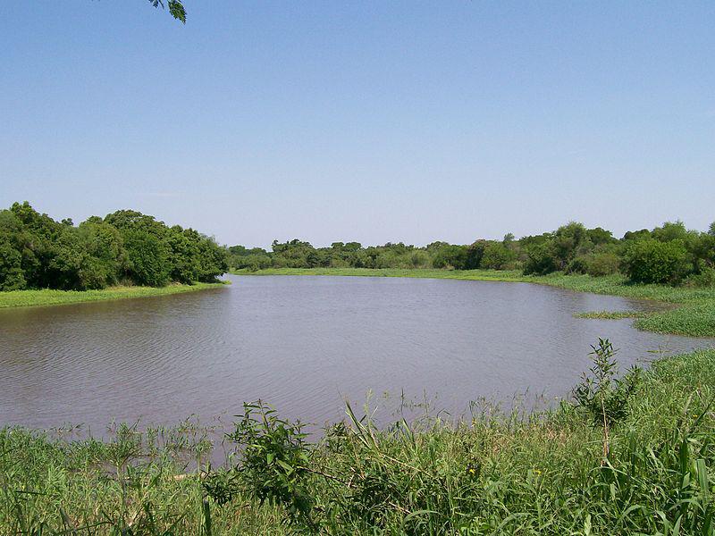 Rio-Negro-20-08-28-01