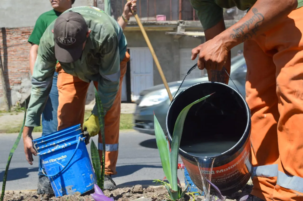 Reconversion-de-minibasurales-24-01-31-02