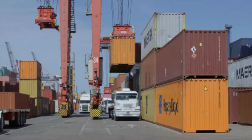 Importacion-de-insumos-25-07-31-01