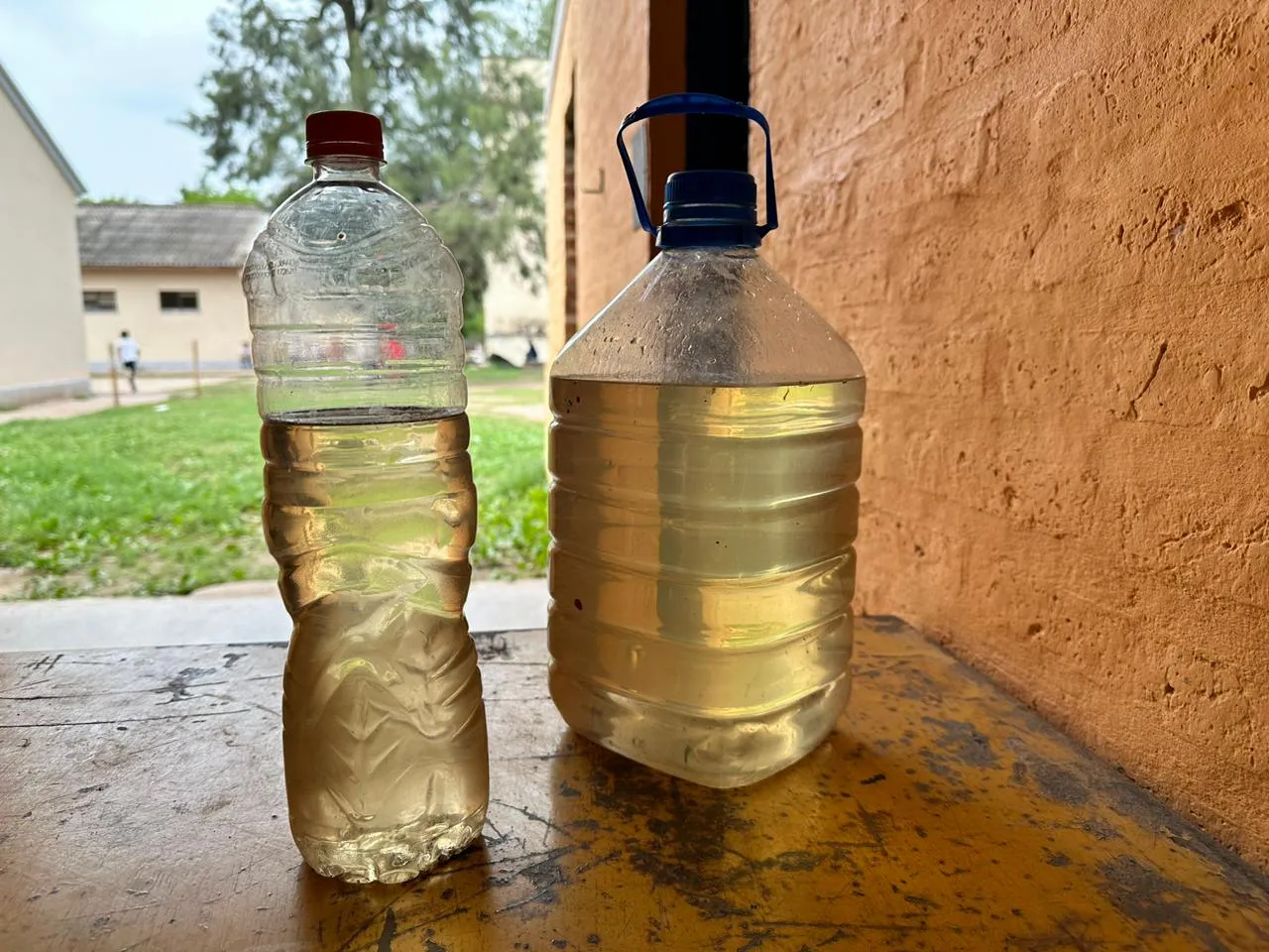 Ivan-Gyoker-Visita-a-escuelas-23-11-17-03