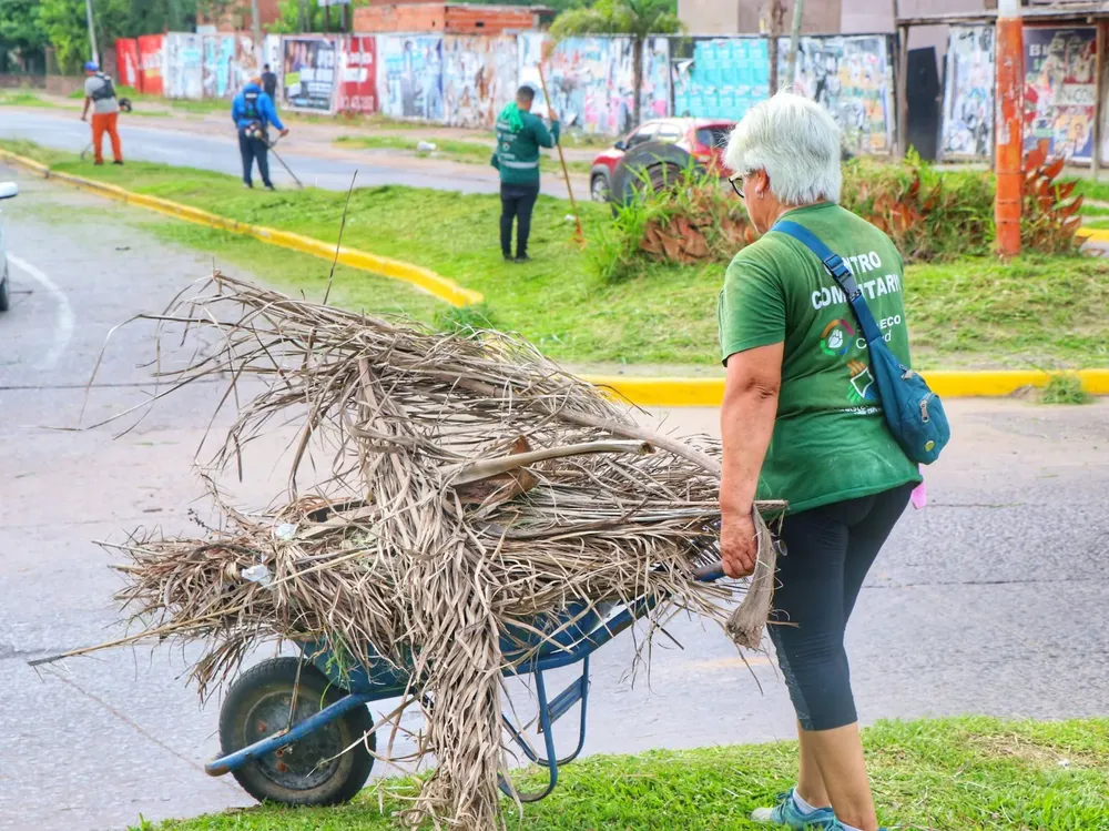 tareas-de-desmalezado_2