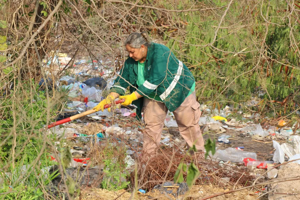 Desmalezado-entre-Edison-y-Espania-24-09-04-03