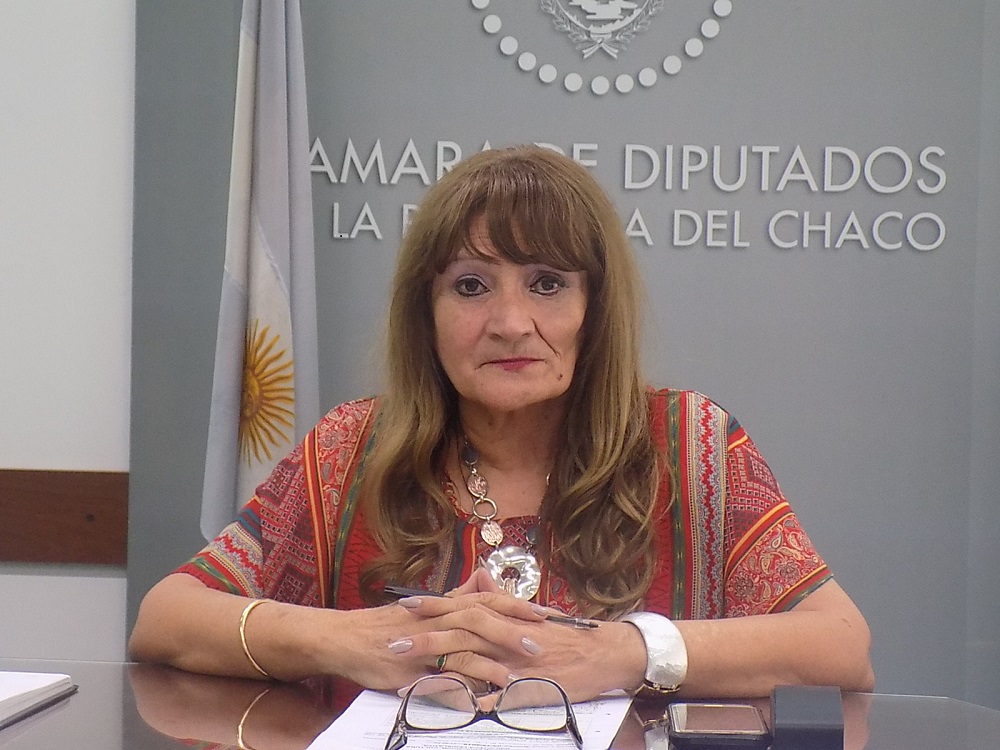 diputada-Maria-Elena-Vargas 19-12-03.jpg (3)