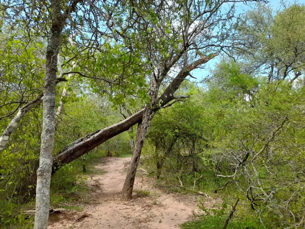 Parque-Natural-Loro-Hablador-22-05-20-12