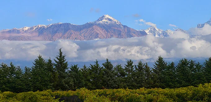 Mendoza-26-08-03-02