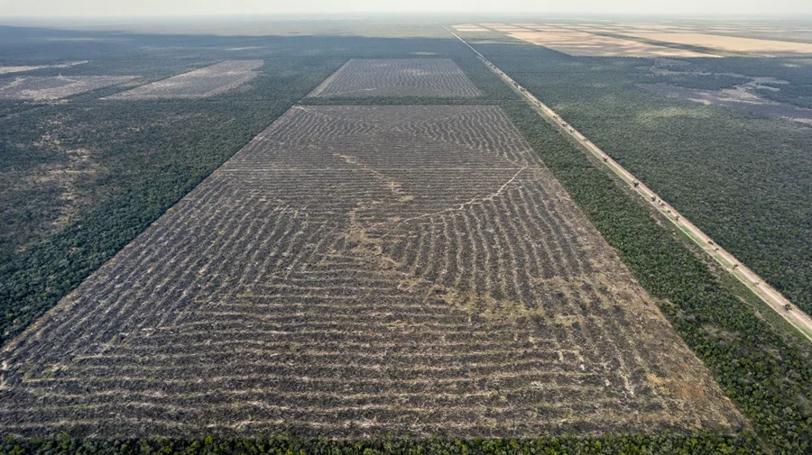 Desmontes-Chaco-19- ©- Martin Katz-Greenpeace-25-08-26-09