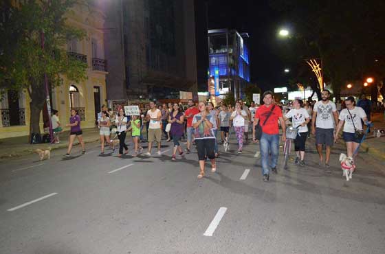 Animalistas-16-12-15-02