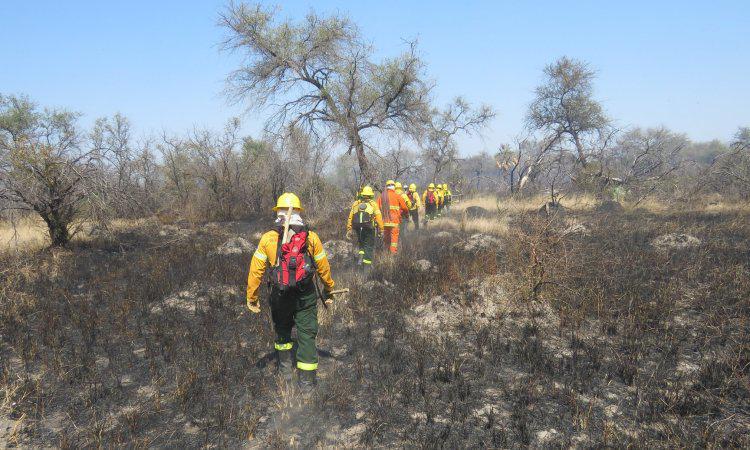 incendio-en-el-parque-nacional-chaco 2020-09-19