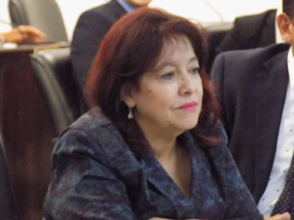 Consulta-publica-para-la-elección-del-defensor-del-pueblo-y-adjunto-25-03-07-03