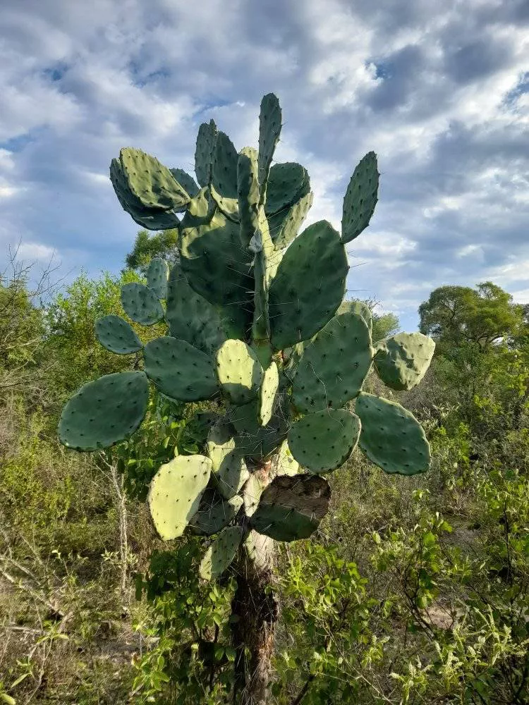 Parque-Natural-Loro-Hablador-22-05-20-08