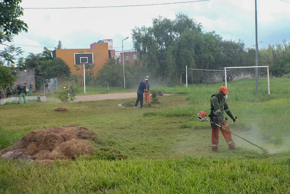 Desmalezado-en-avenida-Velez-Sarfield-24-02-28-01