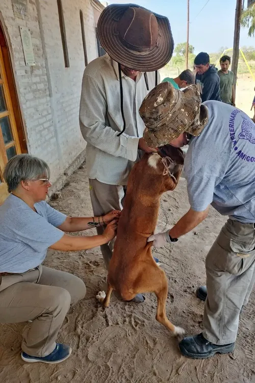 Amigos-veterinarios-del-Impenetrable-23-09-28-16