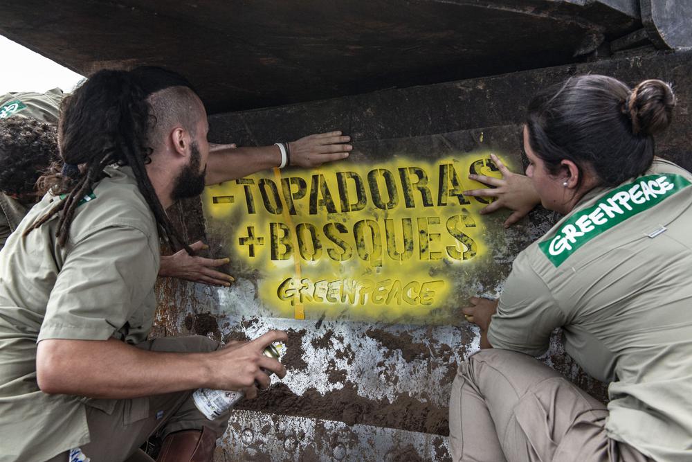 Greenpeace-desmonte-Castelli-19-01-16-12