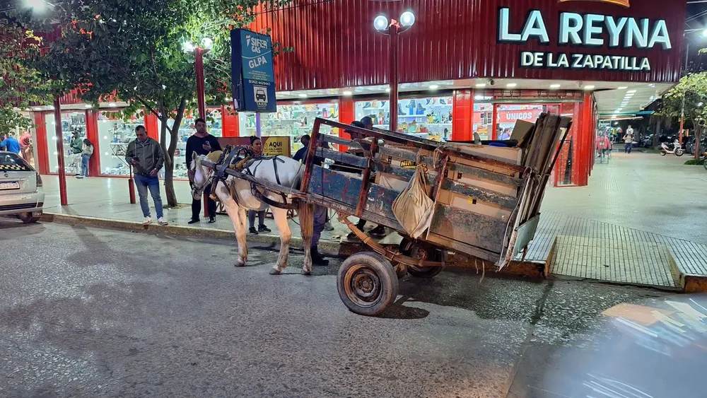 Traccion-a-sangre-24-08-30-02
