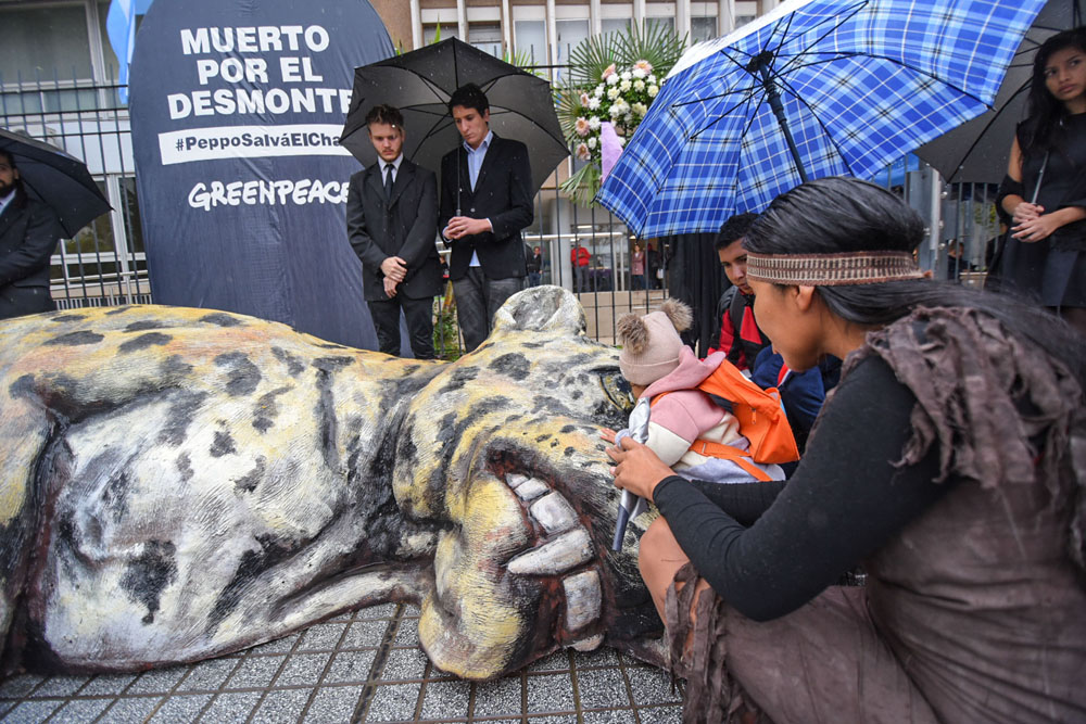 Greenpeace-Velorio-del-Yaguarete-19-05-23-01 - copia