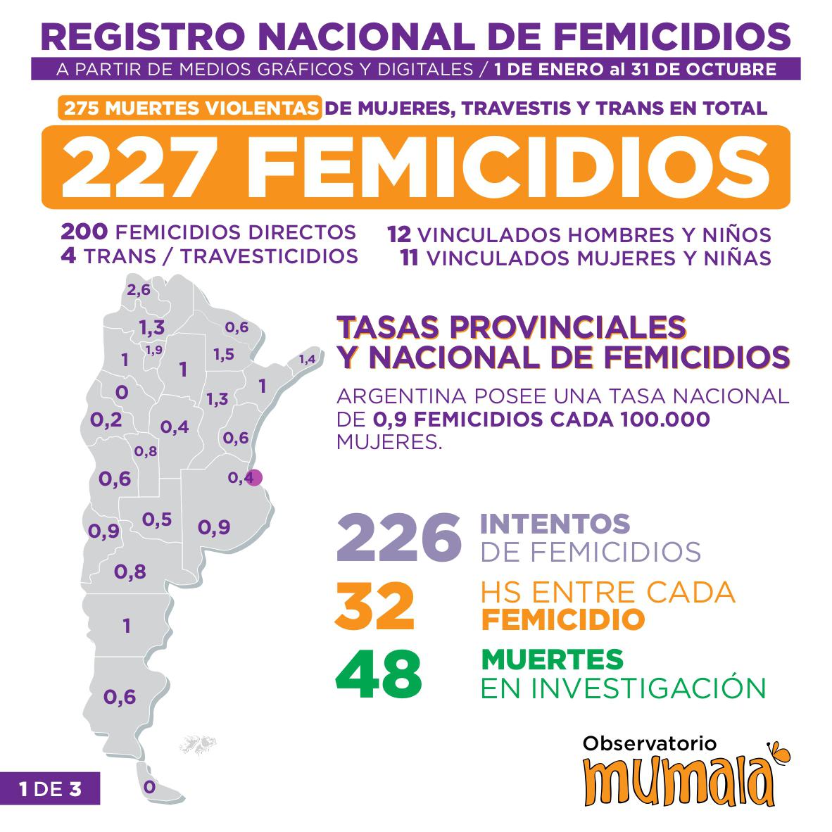 Registro-Nacional-de-Femicidios-20-11-01