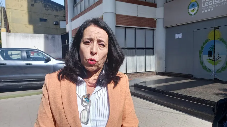 Pedido-de-intrpelacion-a-Naidenoff-25-04-21-04-Analia-Flores-01