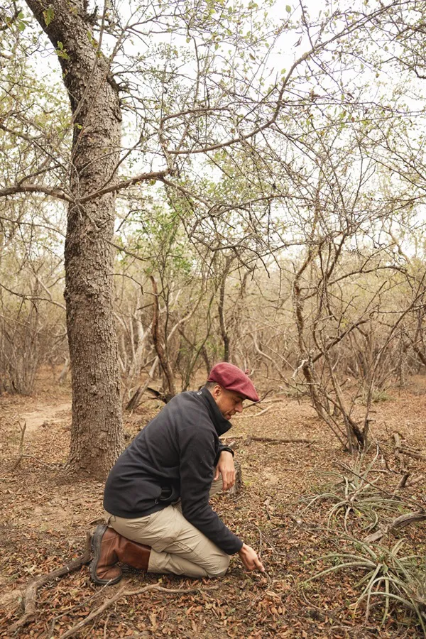 TNC-Gran-Chaco-Argentina-25-10-24-03