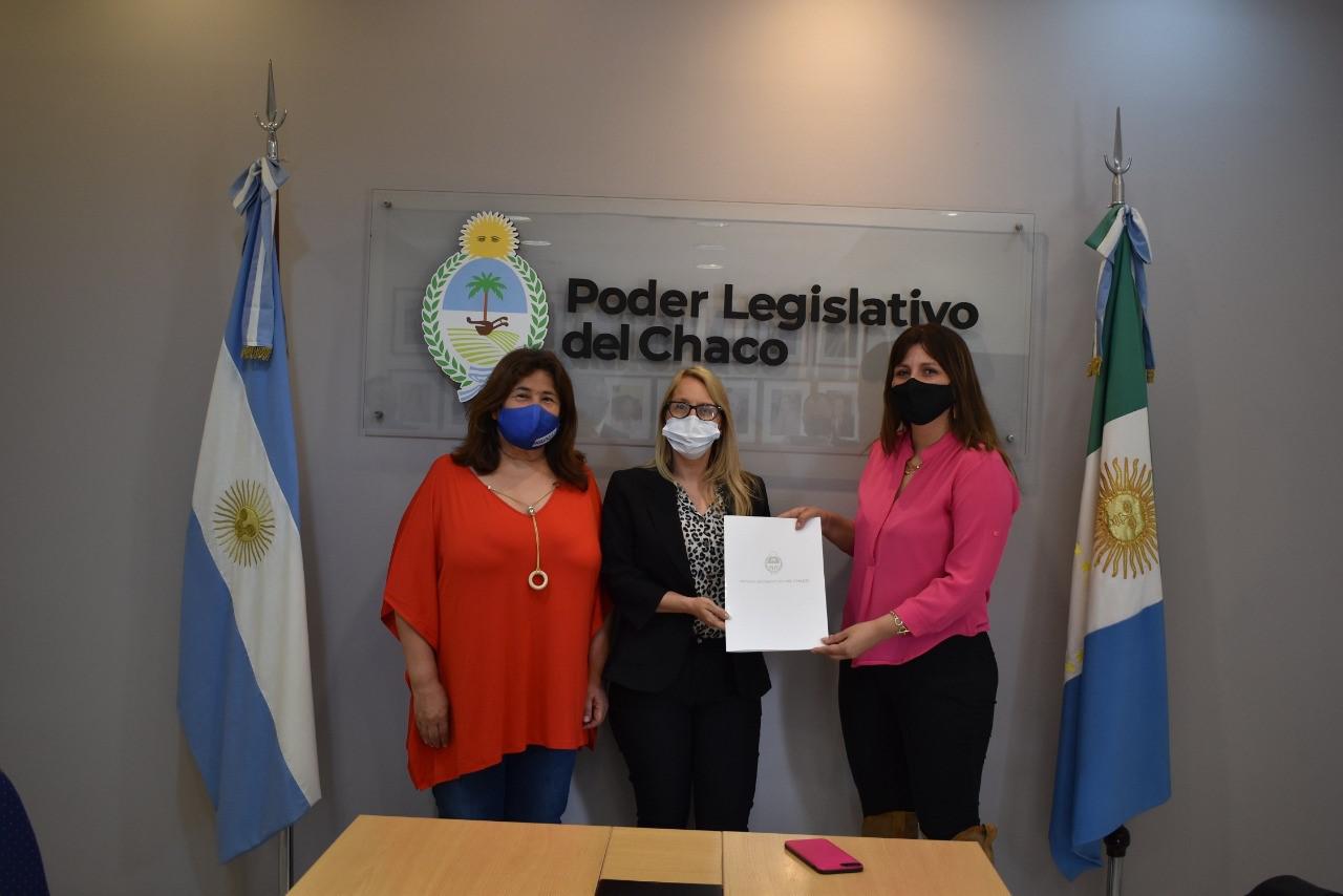 legisladoras-entrega-declaracion-legislativo-fallo-con-perspectiva-de-genero