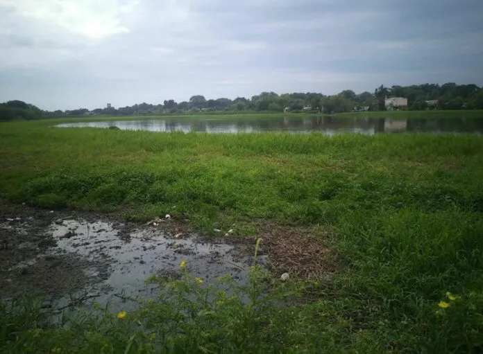 biodiversidad-25-05-23-02