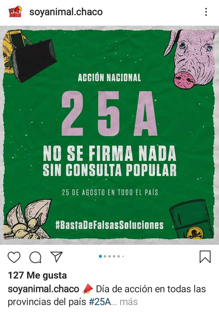 soy-amimal 2020-08-24