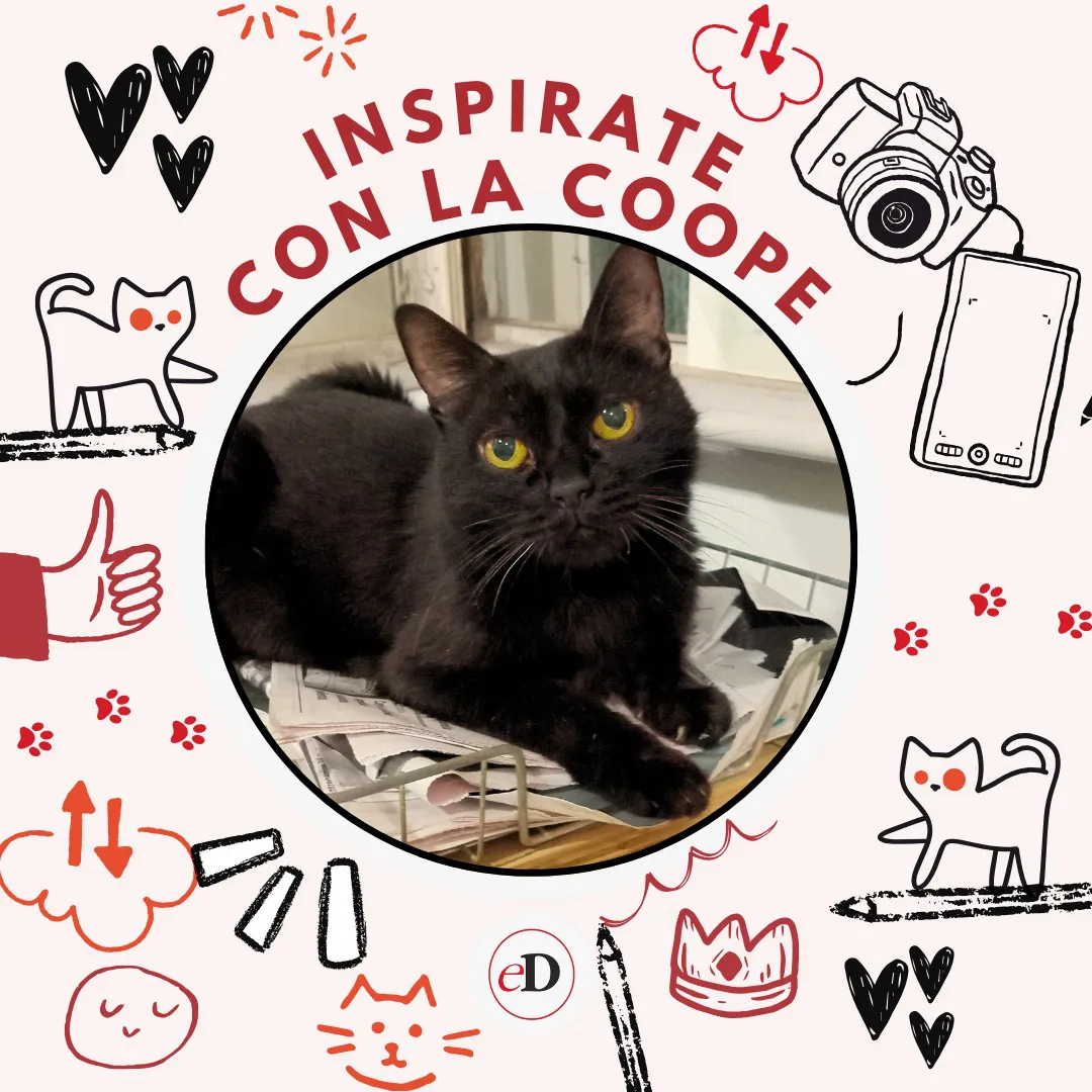 Inspirate-con-la-Coope-25-04-25-01