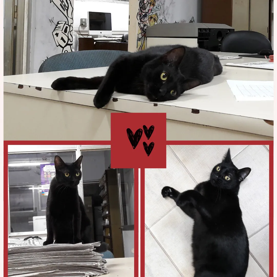 Inspirate-con-la-Coope-25-04-25-03