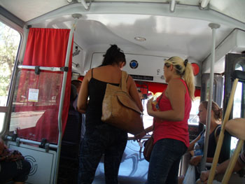 Colectivo-interior-04