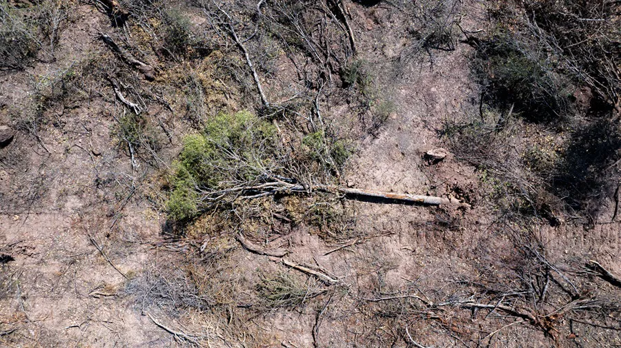 Desmontes-Chaco-19- ©- Martin Katz-Greenpeace-25-08-26-05