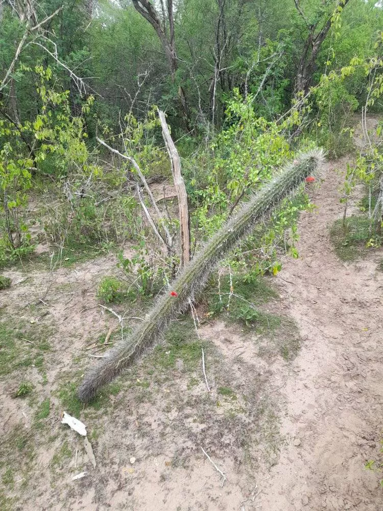 Parque-Natural-Loro-Hablador-22-05-20-07