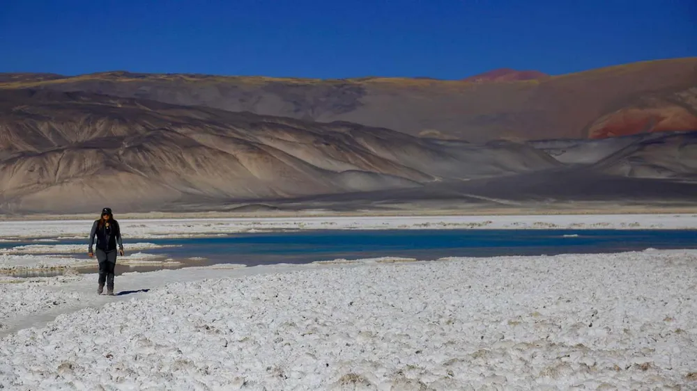 Bosque-del-salar-26-08-03-01