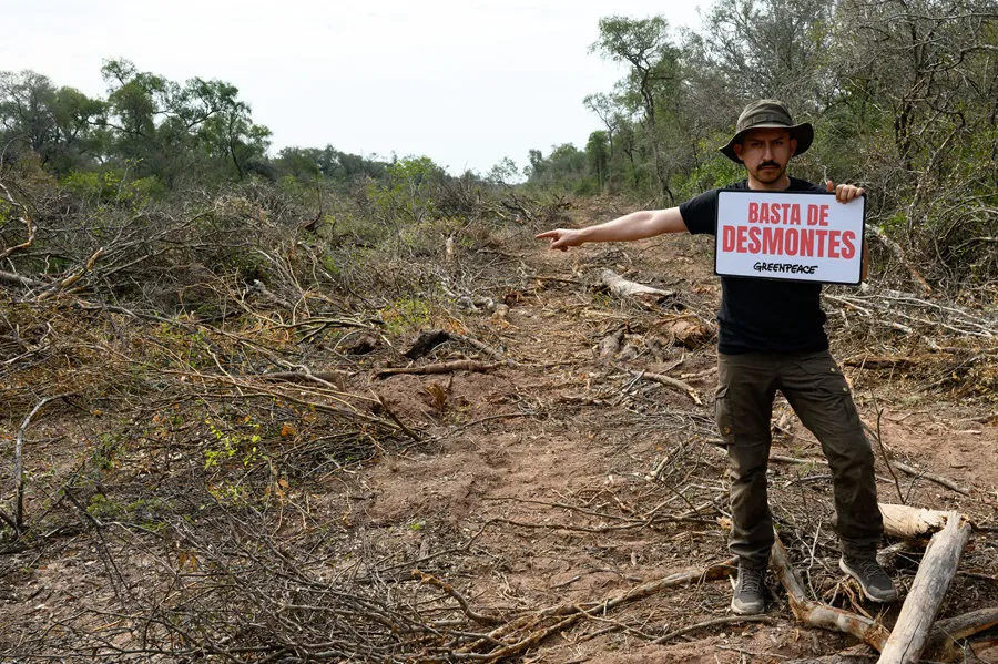 Desmontes-Chaco-19- ©- Martin Katz-Greenpeace-25-08-26-12