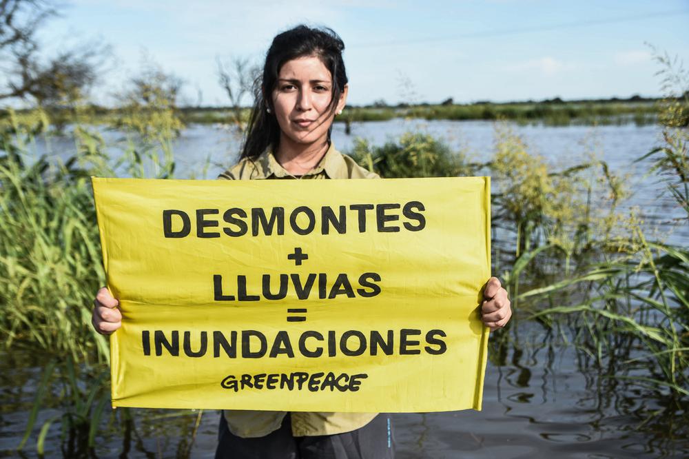 Greenpeace-inundaciones-sudoeste-Chaco-20-01-19-03