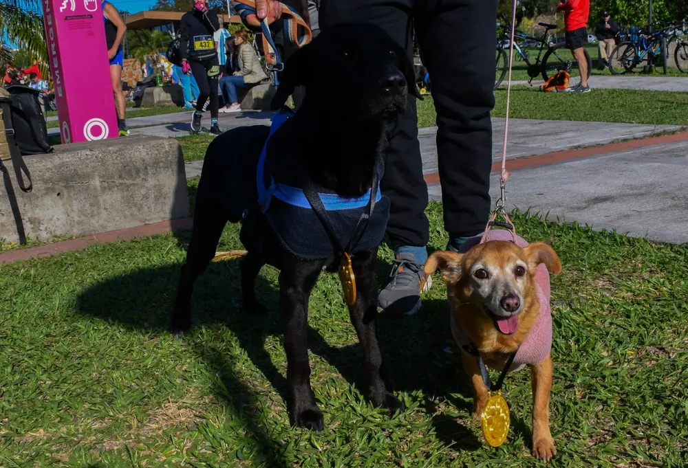 Maraton-animalista-26-08-12-07