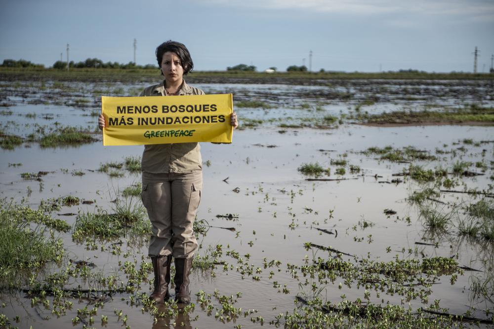 Greenpeace-desmonte-Castelli-19-01-16-13