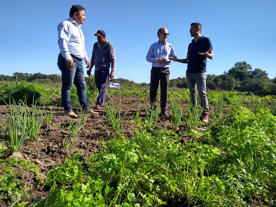 Carlos-Martinez-cooperativa-Del-campo-al-pueblo-19-05-17-01
