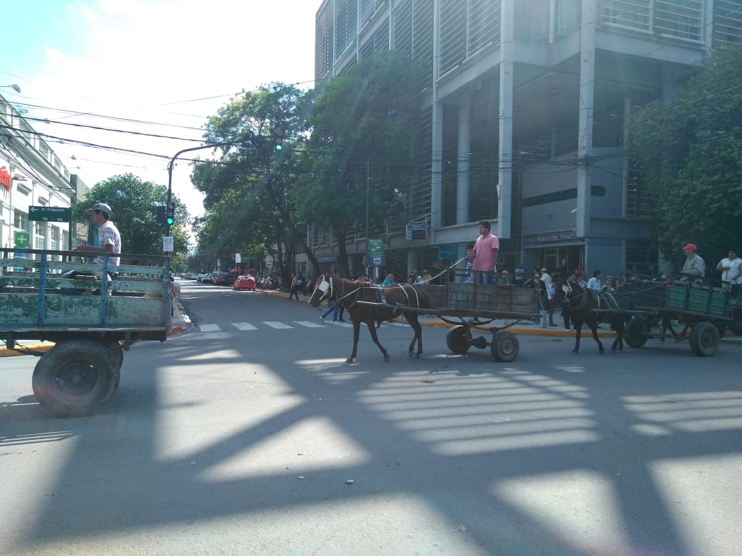 carros-en-ciudad-de-Resistencia 19-11-14