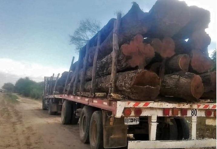 Expresan preocupaci n por el futuro forestal industrial del Chaco