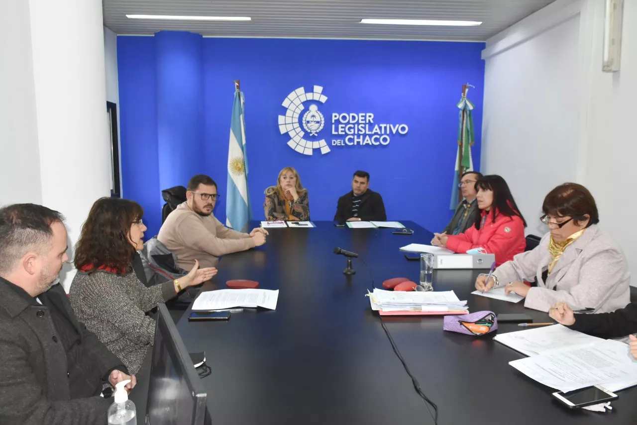 Comision-de-Salud-Organo-de-Revision-de-Salud-Mental-del-Chaco-22-06-01-01